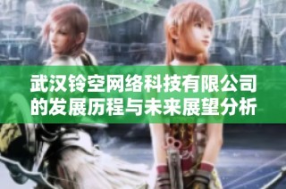 武汉铃空网络科技有限公司的发展历程与未来展望分析