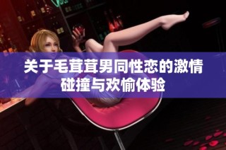 关于毛茸茸男同性恋的激情碰撞与欢愉体验