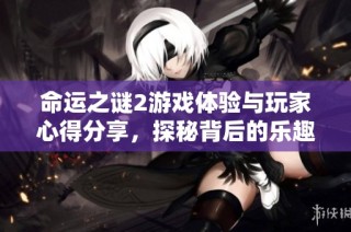 命运之谜2游戏体验与玩家心得分享，探秘背后的乐趣