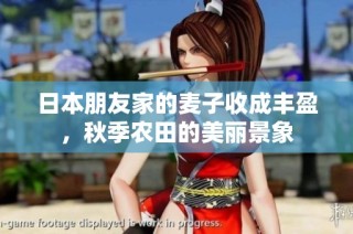 日本朋友家的麦子收成丰盈，秋季农田的美丽景象