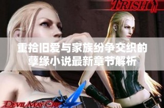 重拾旧爱与家族纷争交织的孽缘小说最新章节解析