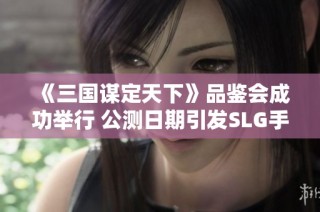《三国谋定天下》品鉴会成功举行 公测日期引发SLG手游热潮