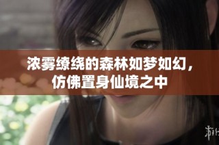 浓雾缭绕的森林如梦如幻，仿佛置身仙境之中