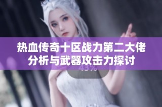 热血传奇十区战力第二大佬分析与武器攻击力探讨