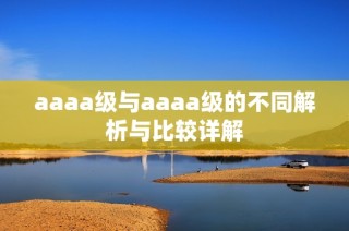 aaaa级与aaaa级的不同解析与比较详解
