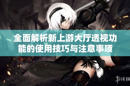 全面解析新上游大厅透视功能的使用技巧与注意事项