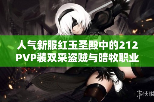 人气新服红玉圣殿中的212PVP装双采盗贼与暗牧职业分析
