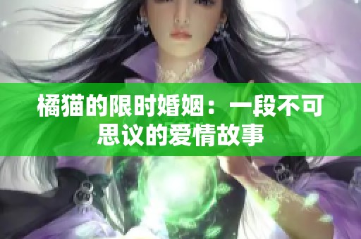 橘猫的限时婚姻：一段不可思议的爱情故事