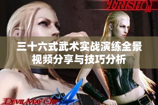 三十六式武术实战演练全景视频分享与技巧分析