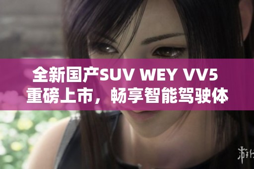 全新国产SUV WEY VV5 重磅上市，畅享智能驾驶体验