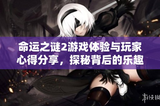 命运之谜2游戏体验与玩家心得分享，探秘背后的乐趣