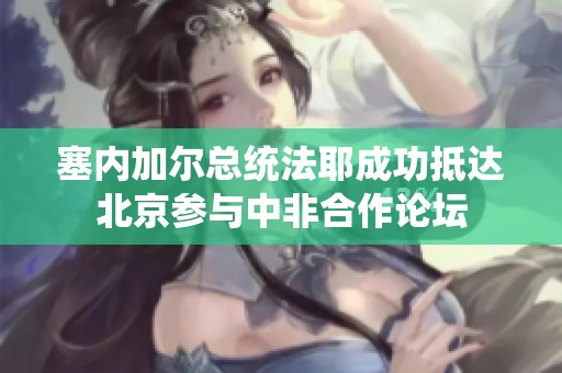塞内加尔总统法耶成功抵达北京参与中非合作论坛