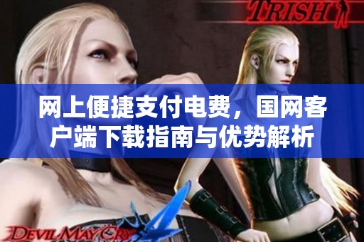 网上便捷支付电费，国网客户端下载指南与优势解析