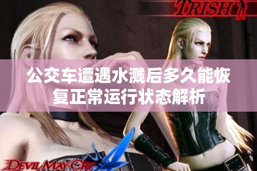 公交车遭遇水溅后多久能恢复正常运行状态解析