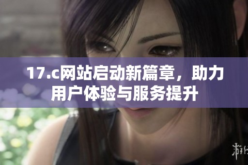 17.c网站启动新篇章，助力用户体验与服务提升