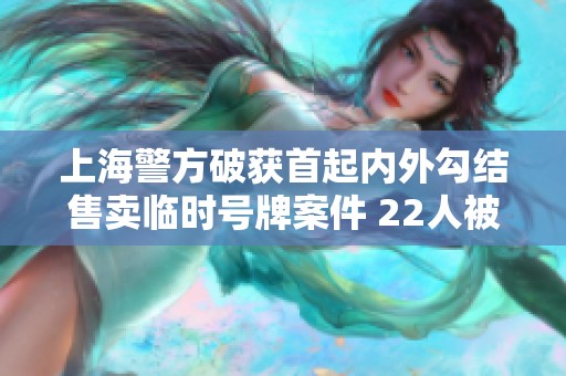 上海警方破获首起内外勾结售卖临时号牌案件 22人被抓捕展现严打决心