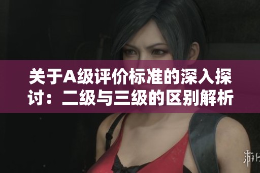 关于A级评价标准的深入探讨：二级与三级的区别解析