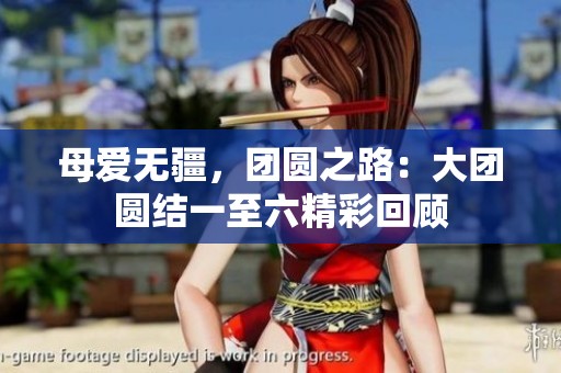 母爱无疆，团圆之路：大团圆结一至六精彩回顾