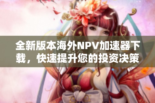 全新版本海外NPV加速器下载，快速提升您的投资决策效率