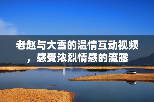 老赵与大雪的温情互动视频，感受浓烈情感的流露