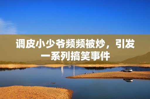 调皮小少爷频频被炒，引发一系列搞笑事件