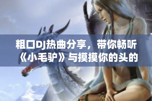 粗口DJ热曲分享，带你畅听《小毛驴》与摸摸你的头的独特魅力