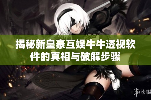 揭秘新皇豪互娱牛牛透视软件的真相与破解步骤