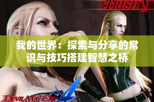 我的世界：探索与分享的常识与技巧搭建智慧之桥