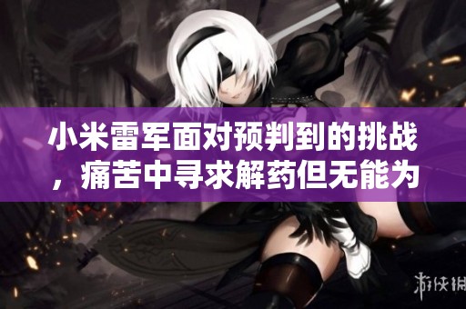 小米雷军面对预判到的挑战，痛苦中寻求解药但无能为力