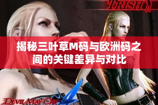 揭秘三叶草M码与欧洲码之间的关键差异与对比