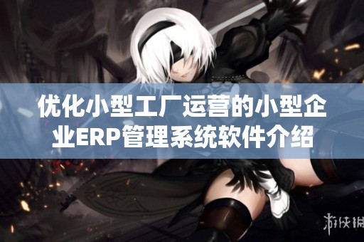 优化小型工厂运营的小型企业ERP管理系统软件介绍