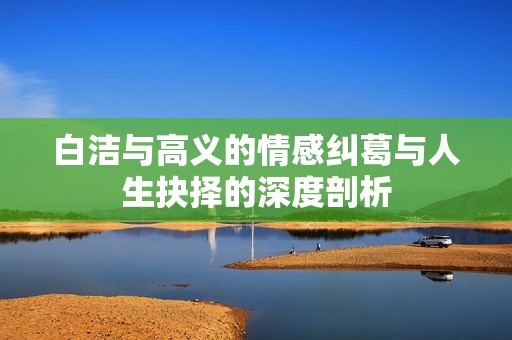 白洁与高义的情感纠葛与人生抉择的深度剖析