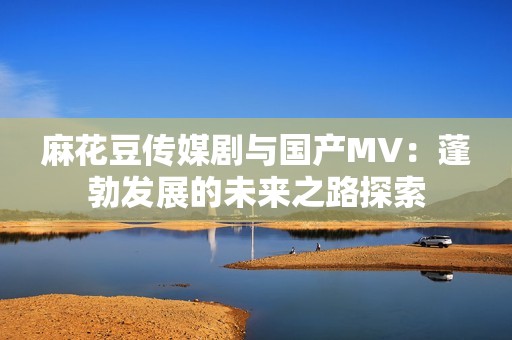 麻花豆传媒剧与国产MV：蓬勃发展的未来之路探索
