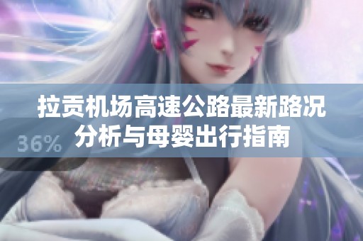 拉贡机场高速公路最新路况分析与母婴出行指南