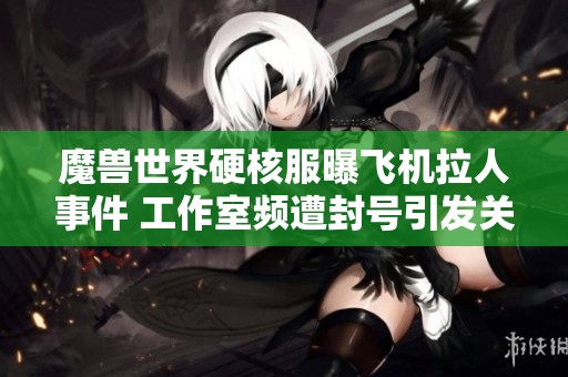 魔兽世界硬核服曝飞机拉人事件 工作室频遭封号引发关注