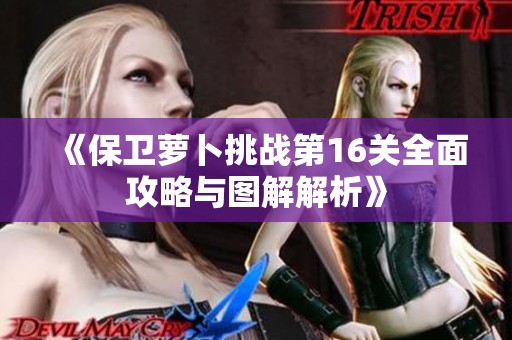 《保卫萝卜挑战第16关全面攻略与图解解析》