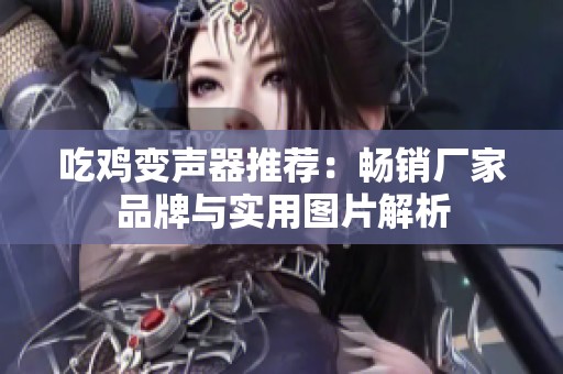 吃鸡变声器推荐：畅销厂家品牌与实用图片解析