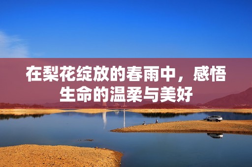 在梨花绽放的春雨中，感悟生命的温柔与美好
