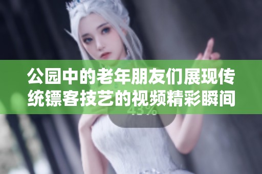 公园中的老年朋友们展现传统镖客技艺的视频精彩瞬间