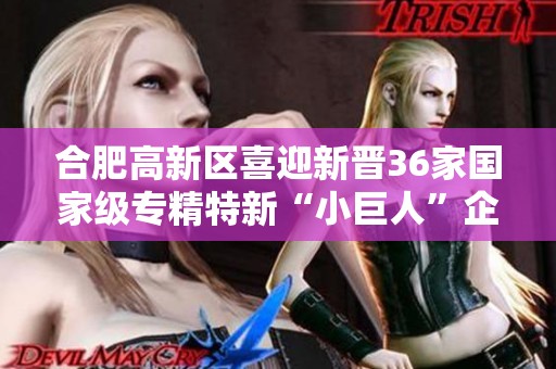 合肥高新区喜迎新晋36家国家级专精特新“小巨人”企业