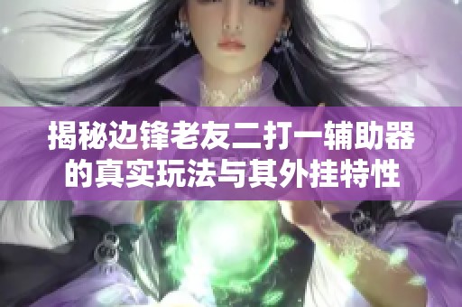 揭秘边锋老友二打一辅助器的真实玩法与其外挂特性