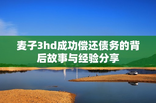 麦子3hd成功偿还债务的背后故事与经验分享