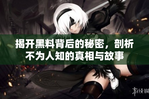 揭开黑料背后的秘密，剖析不为人知的真相与故事