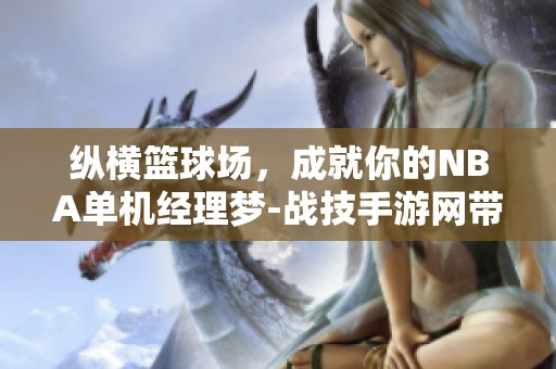 纵横篮球场，成就你的NBA单机经理梦-战技手游网带你飞翔