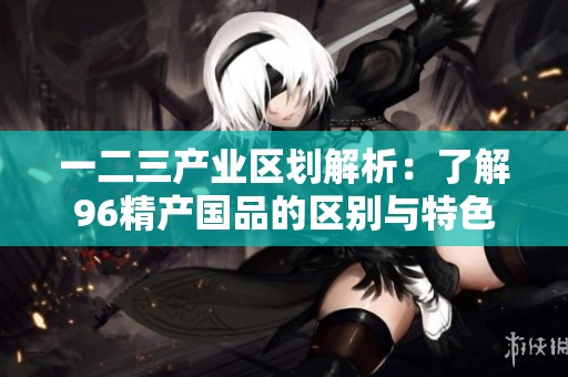 一二三产业区划解析：了解96精产国品的区别与特色