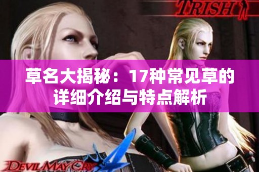 草名大揭秘：17种常见草的详细介绍与特点解析