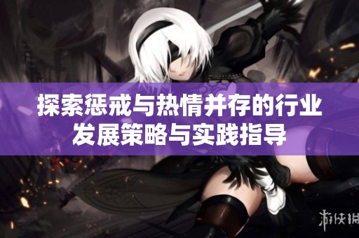 探索惩戒与热情并存的行业发展策略与实践指导