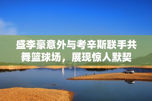 盛李豪意外与考辛斯联手共舞篮球场，展现惊人默契