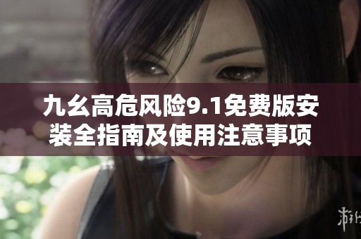 九幺高危风险9.1免费版安装全指南及使用注意事项