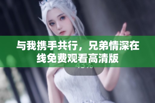 与我携手共行，兄弟情深在线免费观看高清版